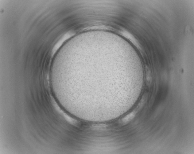 X0000074971282200609291929