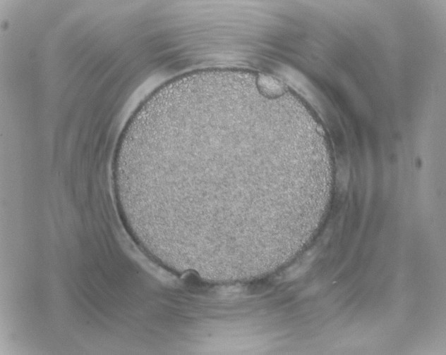 X0000074971283200609291929