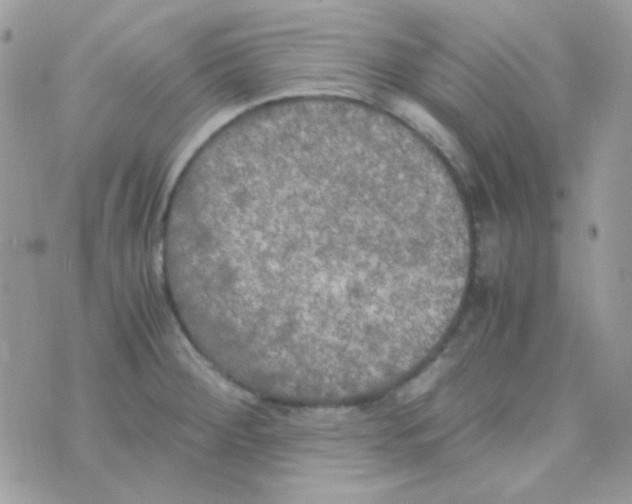 X0000074971284200609291929