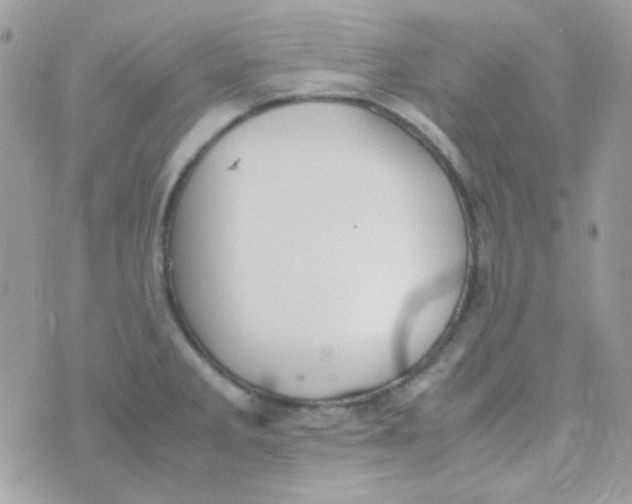 X0000074971285200609291929