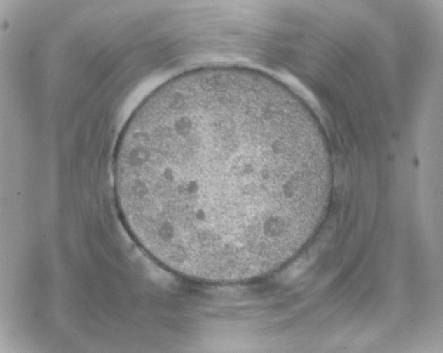 X0000074971287200609291929