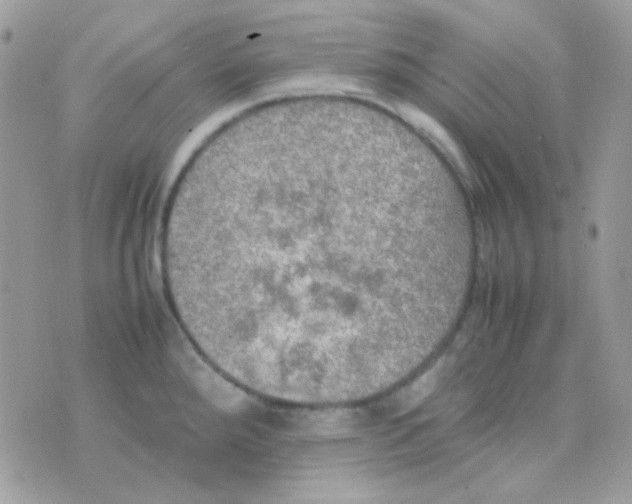 X0000074971288200609291929