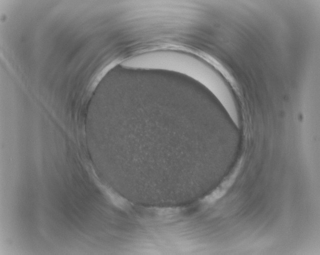 X0000074971289200609291929