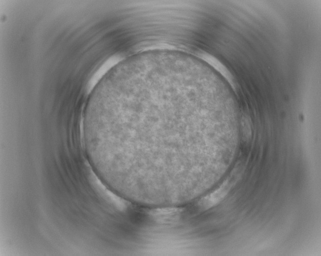 X0000074971290200609291928