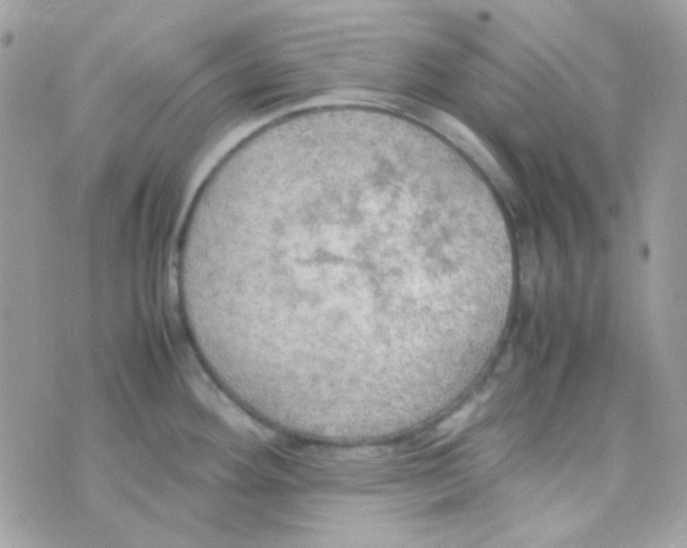 X0000074971292200609291928