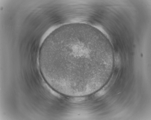 X0000074971294200609291928