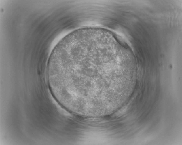 X0000074971295200609291928