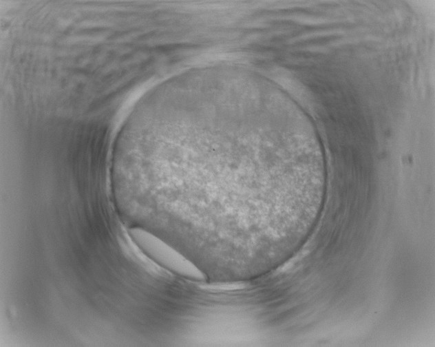 X0000074971296200609291928