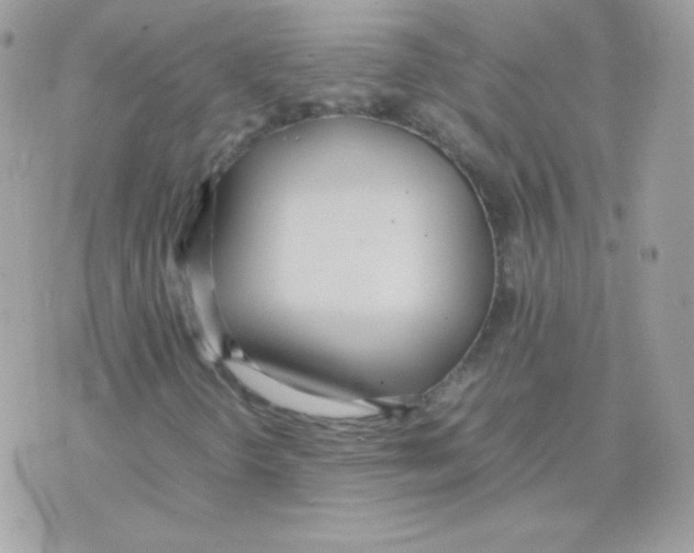 X0000074971298200609291928