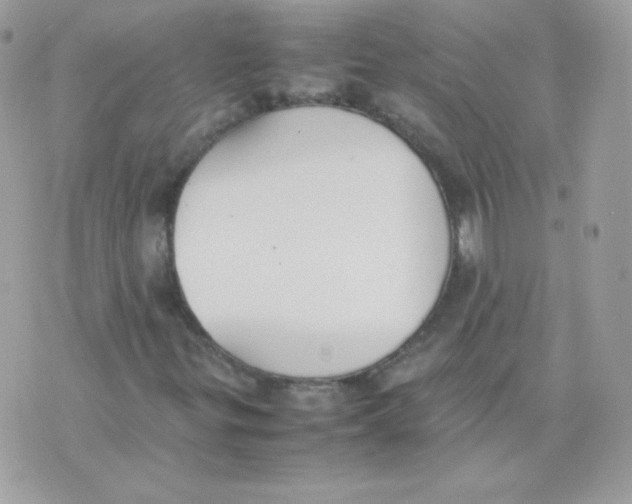 X0000074971299200609291928