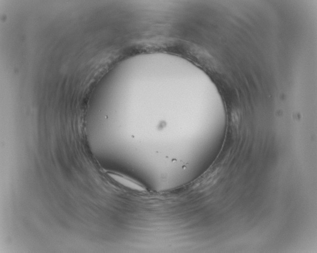 X0000074971300200609291928