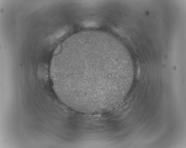 X0000074971301200609291928