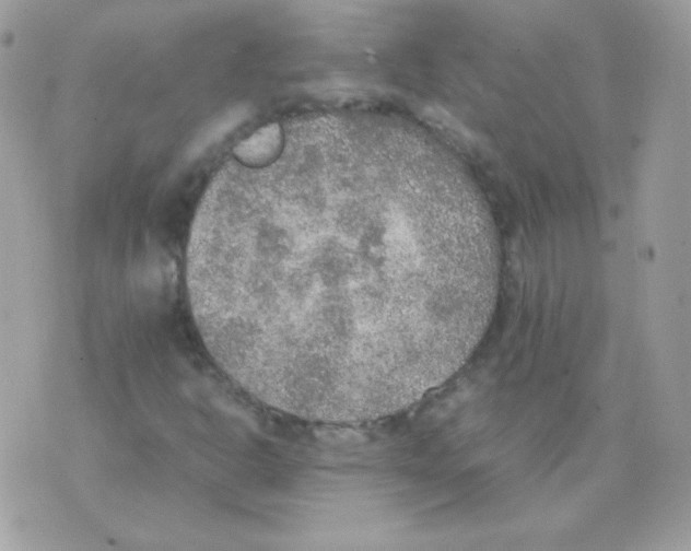 X0000074971302200609291928