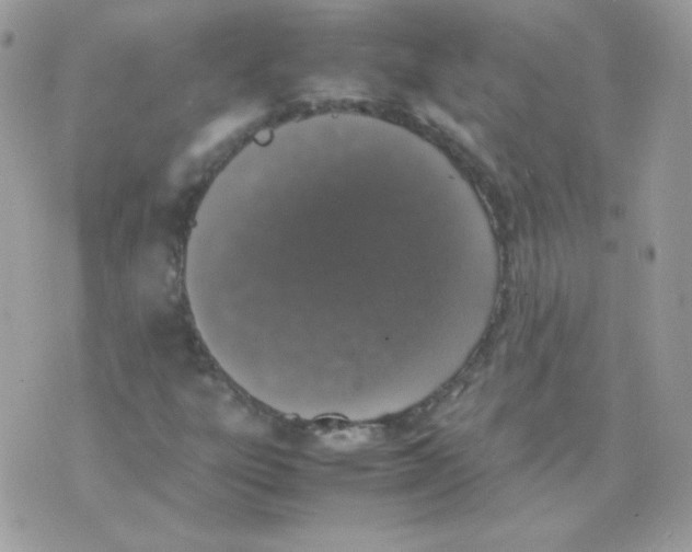 X0000074971303200609291928