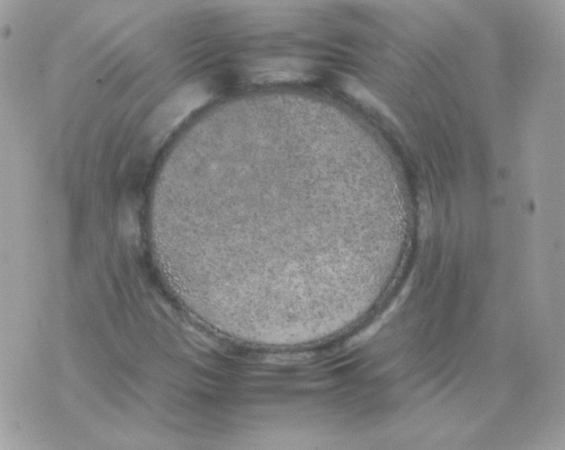 X0000074971305200609291928