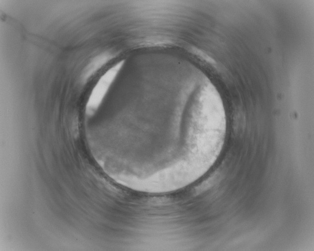 X0000074971306200609291928