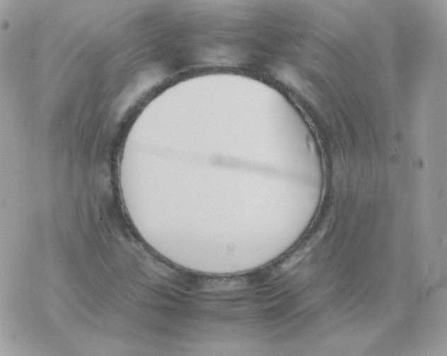 X0000074971307200609291928