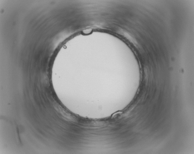 X0000074971308200609291928