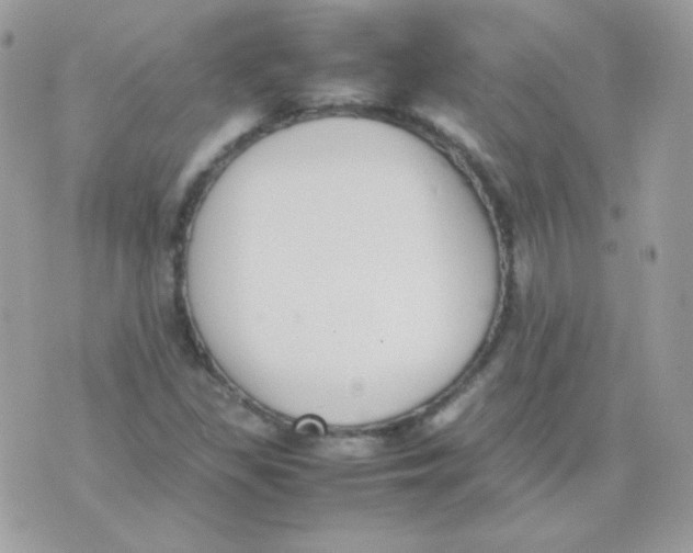 X0000074971309200609291928