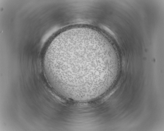 X0000074971310200609291928