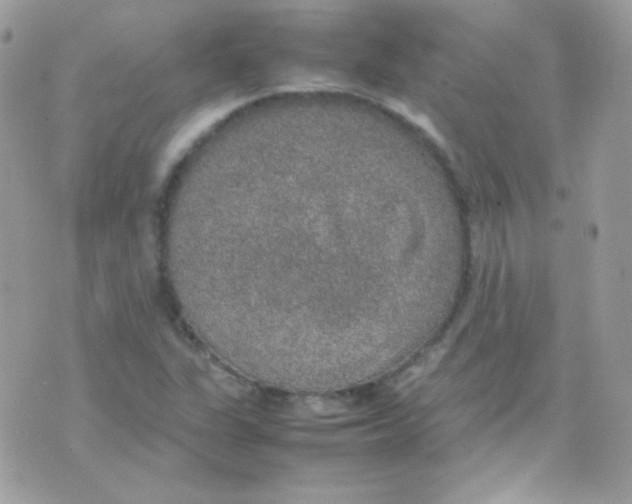 X0000074971311200609291928