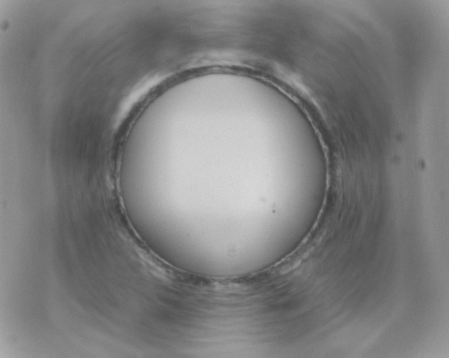 X0000074971312200609291928