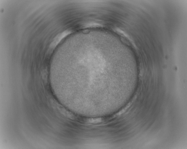 X0000074971313200609291928