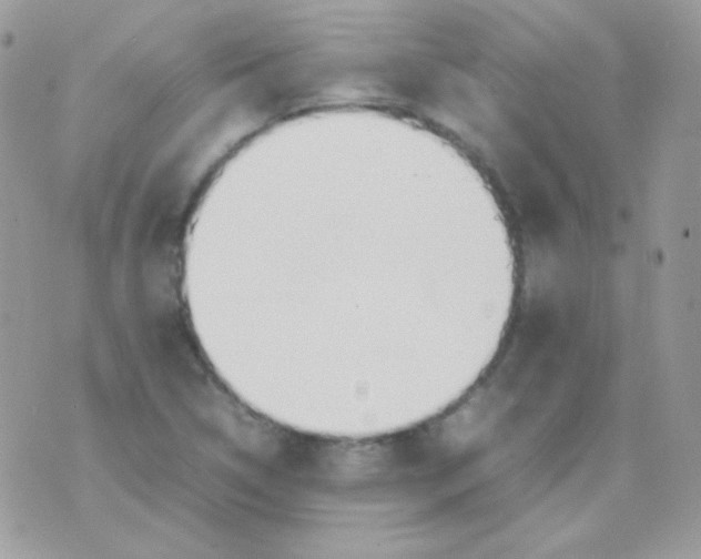 X0000074971314200609291928