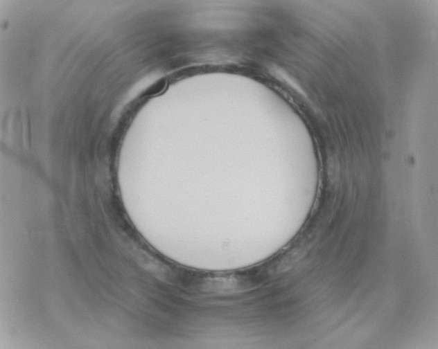 X0000074971315200609291928