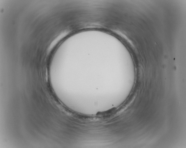 X0000074971317200609291928