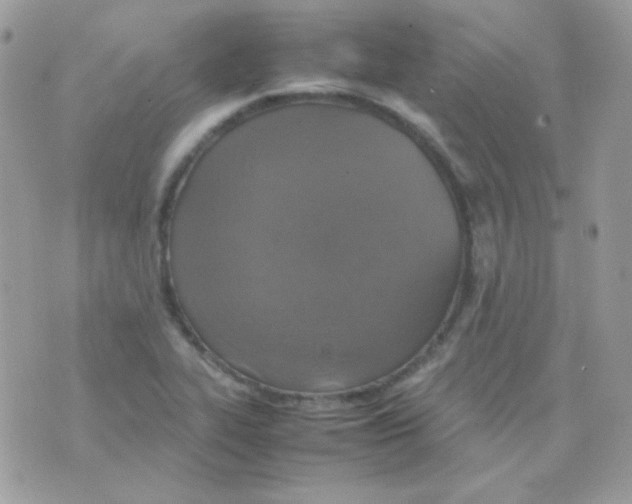 X0000074971319200609291928