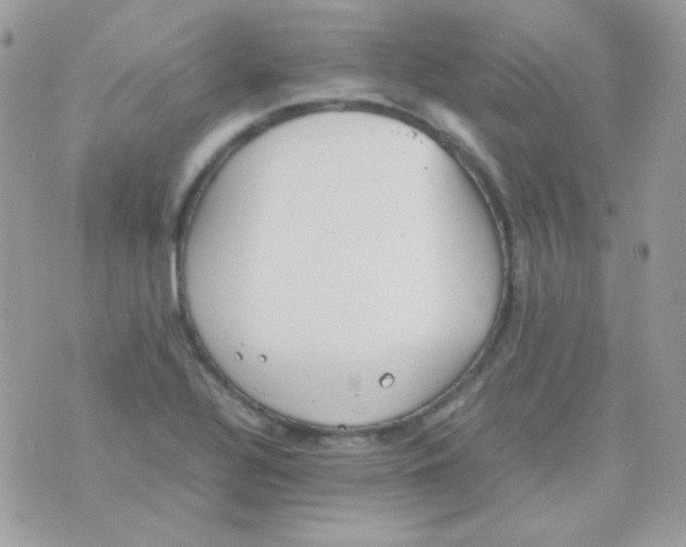 X0000074971320200609291928