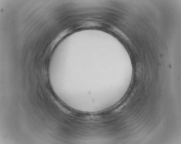 X0000074971321200609291928