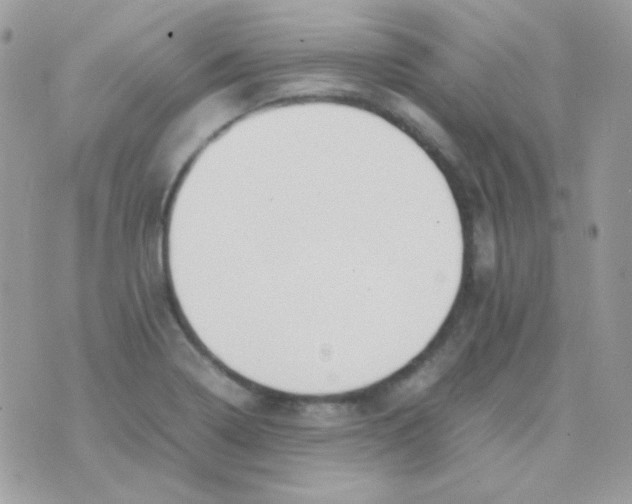 X0000074971322200609291928