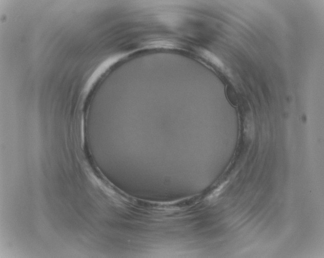 X0000074971323200609291928