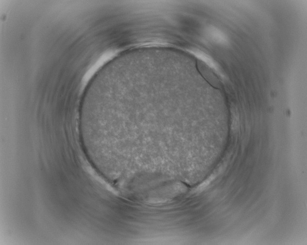 X0000074971325200609291928