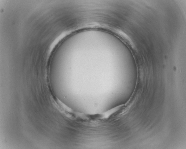 X0000074971326200609291928