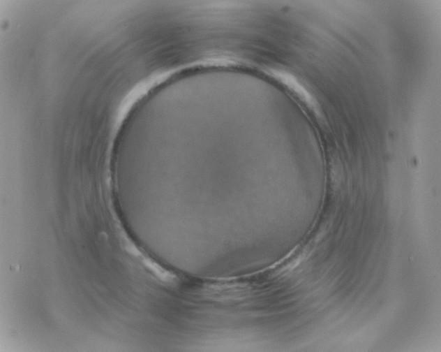 X0000074971327200609291928