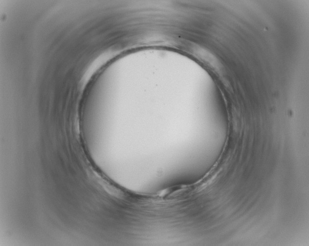 X0000074971328200609291928