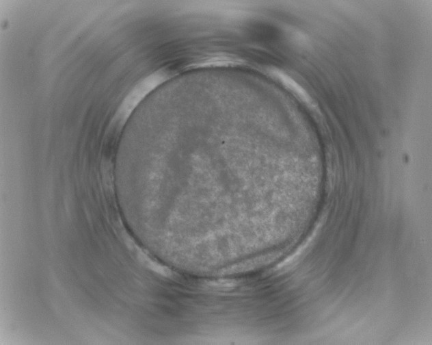 X0000074971329200609291928