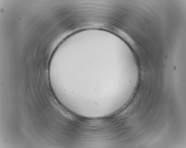 X0000074971332200609291928