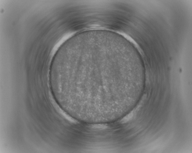 X0000074971333200609291928