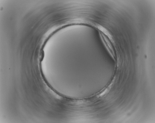 X0000074971334200609291928