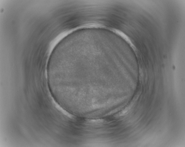 X0000074971335200609291928