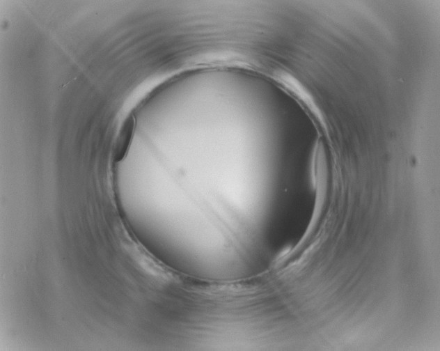 X0000074971336200609291928