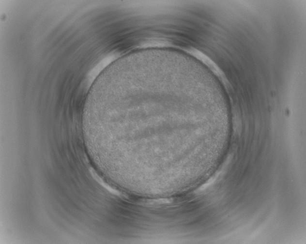 X0000074971337200609291928