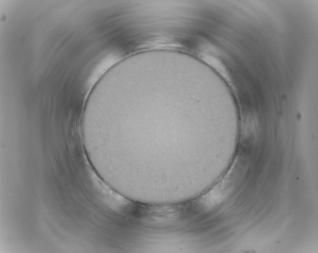 X0000074971338200609291928