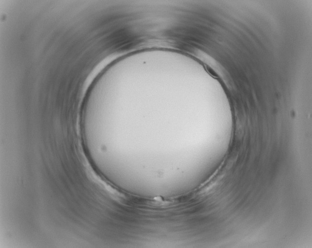 X0000074971339200609291928