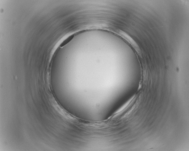 X0000074971340200609291928