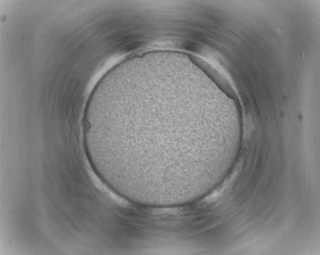 X0000074971341200609291928